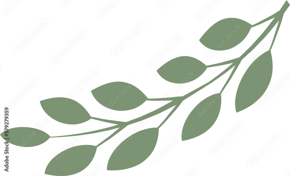 Leaf Illustration Leaf Illustration