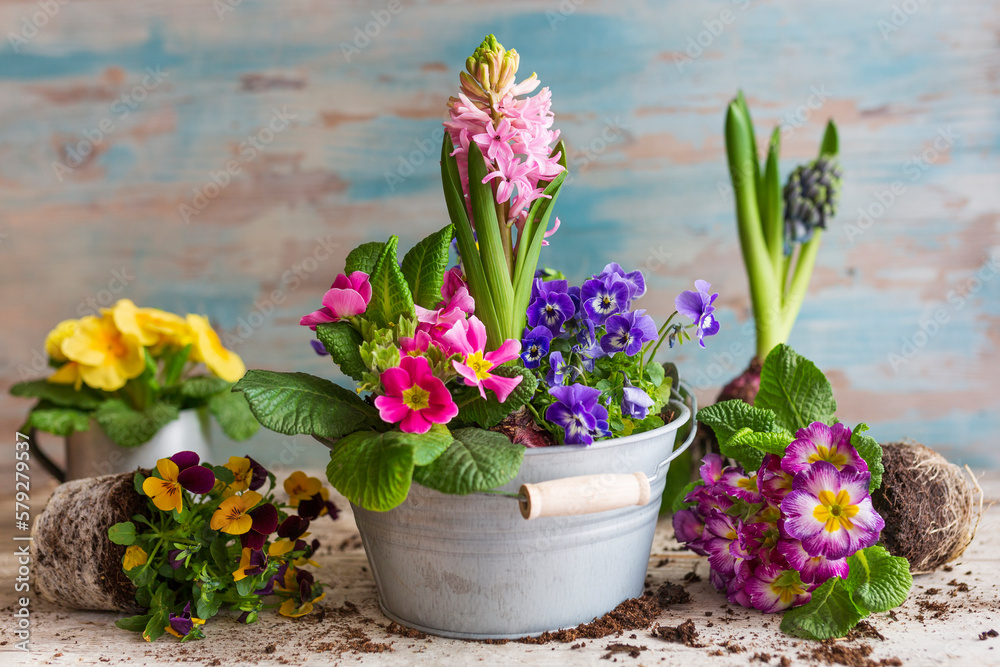 Spring flowers on wooden table Spring flowers on wooden table