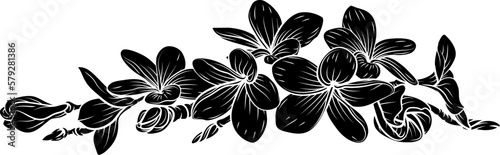 A frangipani plumeria tropical bali floral flower in a woodcut vintage retro style