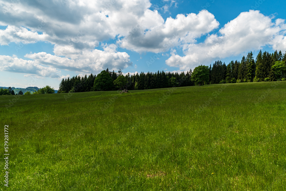 Springtime meadow with trees around and blue sky with clouds in Moravskoslezske Beskydy mountains in Czech republic Springtime meadow with trees around and blue sky with clouds in Moravskoslezske Beskydy mountains in Czech republic