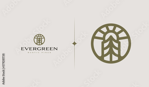 Pine Tree Monoline Logo. Universal creative premium symbol. Vector sign icon logo template. Vector illustration