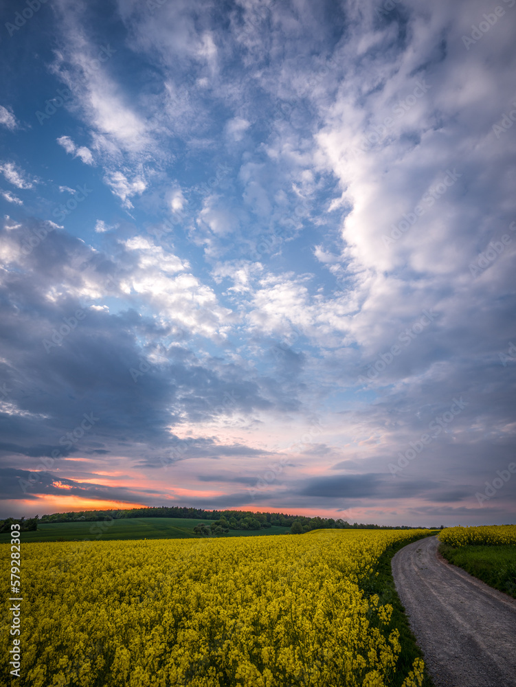 Obraz premium Beautiful sunset scenery on a field