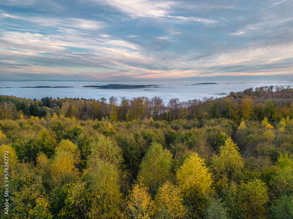 Fototapeta premium Nebelmeer im Tal