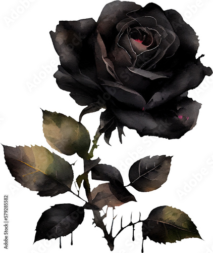 black rose transparent background - Generative AI photo