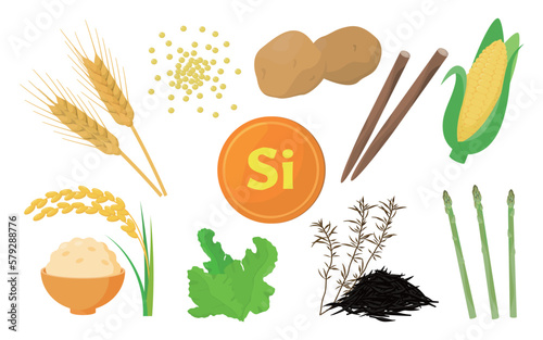 Vector illustration of food containing silicon.