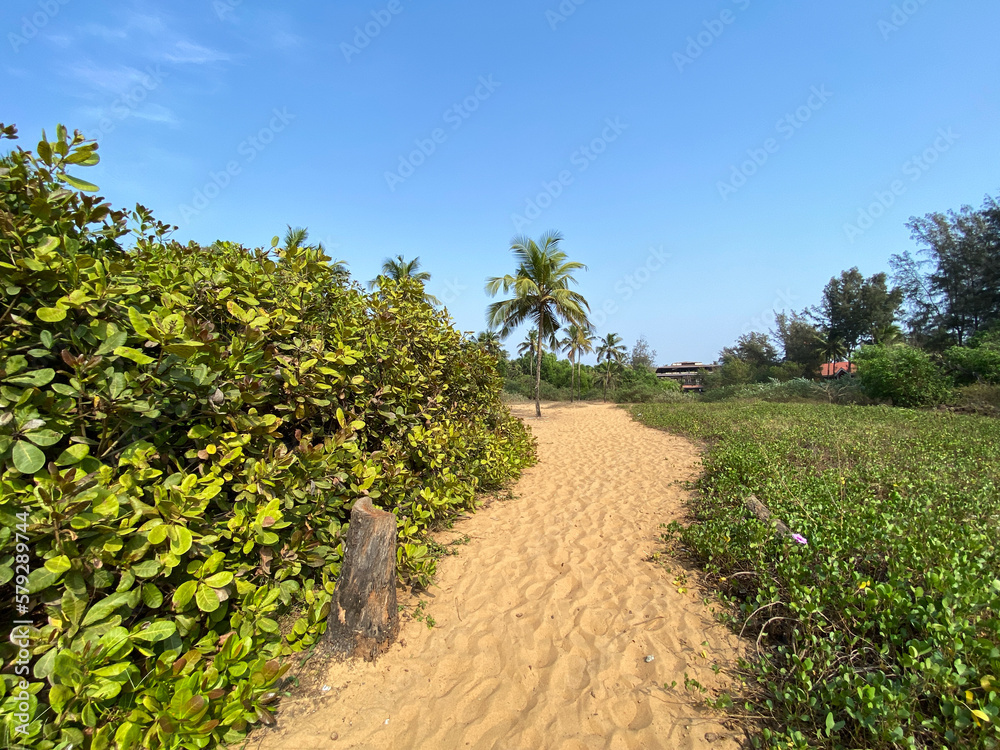 A sandy trail to the beach through green tropical countryside in the village of Sinqeurim in Goa.