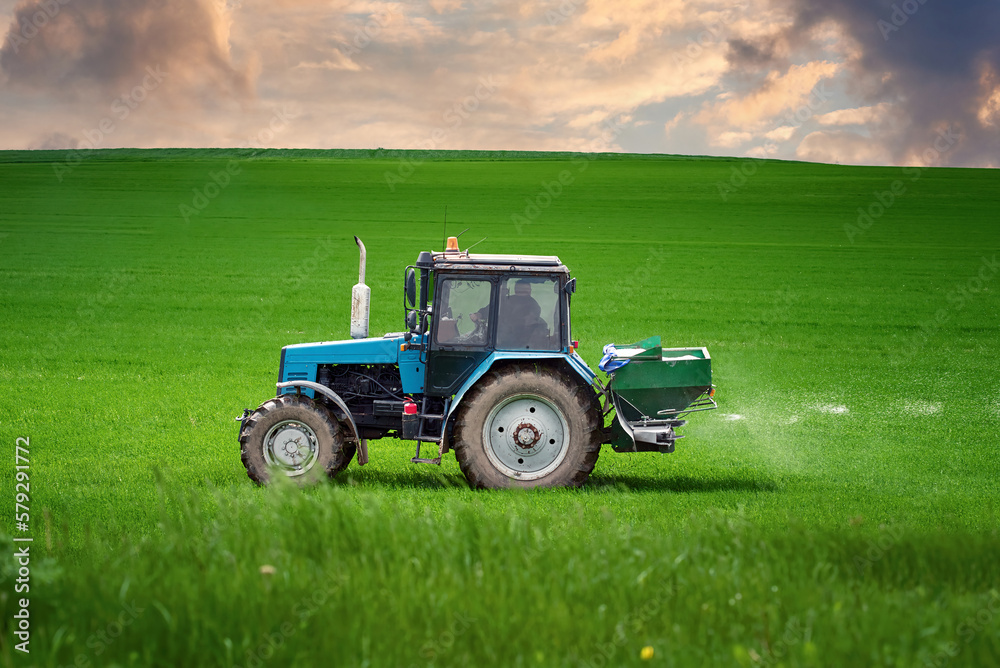 Tractor spreading potash fertilizer on green wheat field. Tractor spray fertilizers on green field, agriculture wallpaper. Farmer spreading potash fertilizers. Agriculture vehicle spraying field.