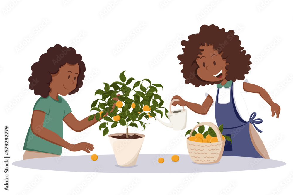 Cute African American woman and her daughter are watering the Tangerine tree together. Potted plant, basket with oranges. Home decor, harvesting, gardening concept. Isolated vector illustration Cute African American woman and her daughter are watering the Tangerine tree together. Potted plant, basket with oranges. Home decor, harvesting, gardening concept. Isolated vector illustration