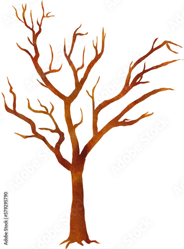 dry tree watercolor png