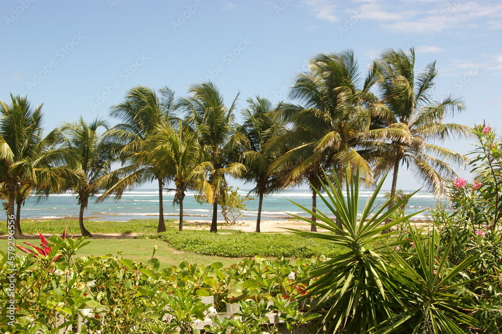Guadelupe die kleinen Antillen in der Karibik