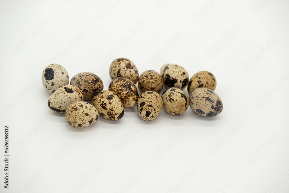 Quail eggs kit on a light background.Animal protein.Useful healthy food and products.Organic farm eggs set Quail eggs kit on a light background.Animal protein.Useful healthy food and products.Organic farm eggs set