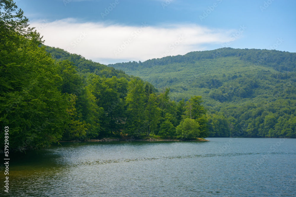 lake in vihorlat mountains, slovakia. vacation season in summer. bright sunny day
