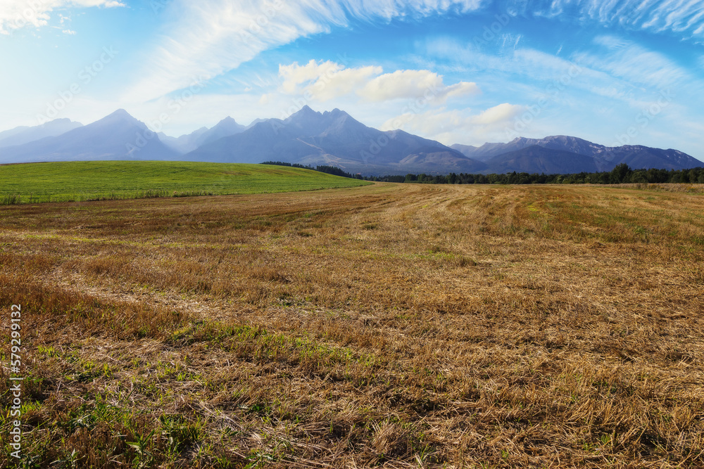 Fototapeta premium scenic rural tatra mountain landscape in slovakia. agricultural fields in the valley