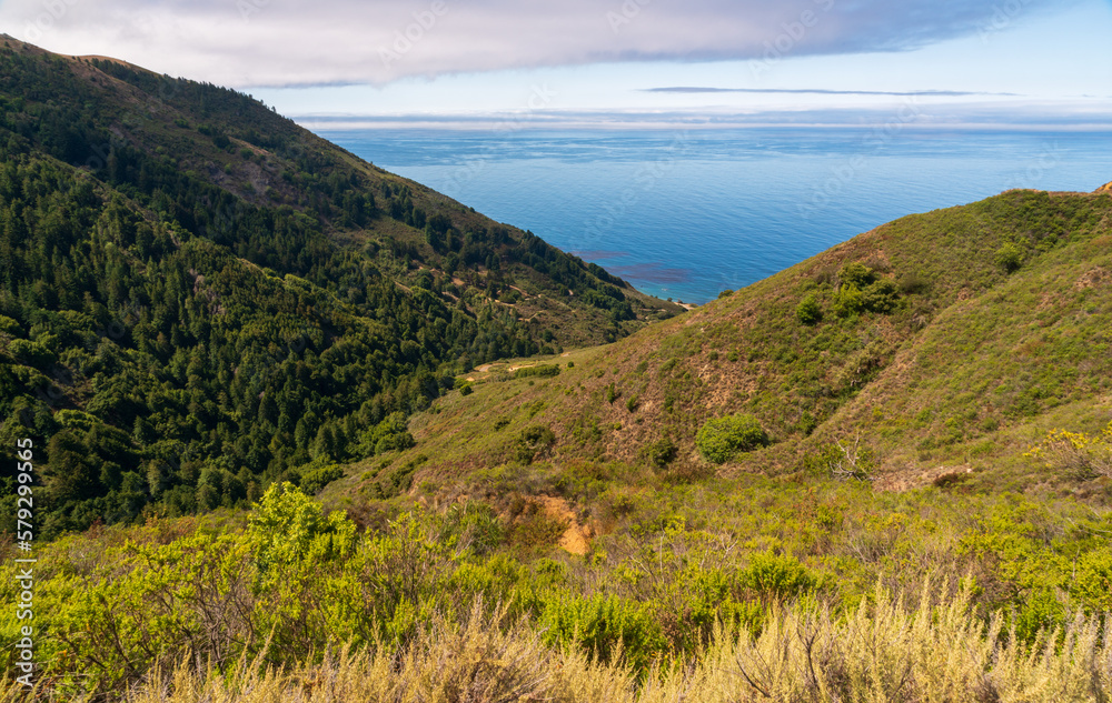 Hilly Forests and Vista at Big Sur