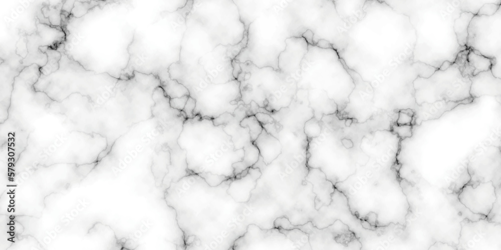 Marble white background wall surface black pattern . White and black marble texture background . Luxurious material interior or exterior design. Marble white background wall surface black pattern . White and black marble texture background . Luxurious material interior or exterior design.