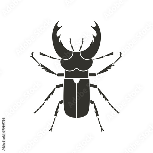 Stag Beetle with fantasy pattern. Geometric Insect icon. Decorative ornate vector illustration. © Maria Gerasimova