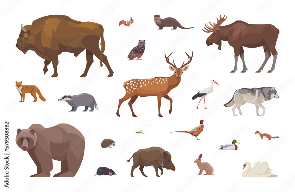 Flat set of european animals. Isolated animals on white background. Vector illustration
