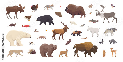 Foto Flat set of north american animals