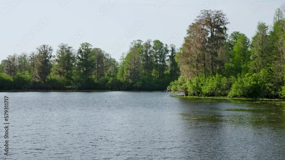 Canoeing Around the Bend at Lettuce Lake, Florida Canoeing Around the Bend at Lettuce Lake, Florida