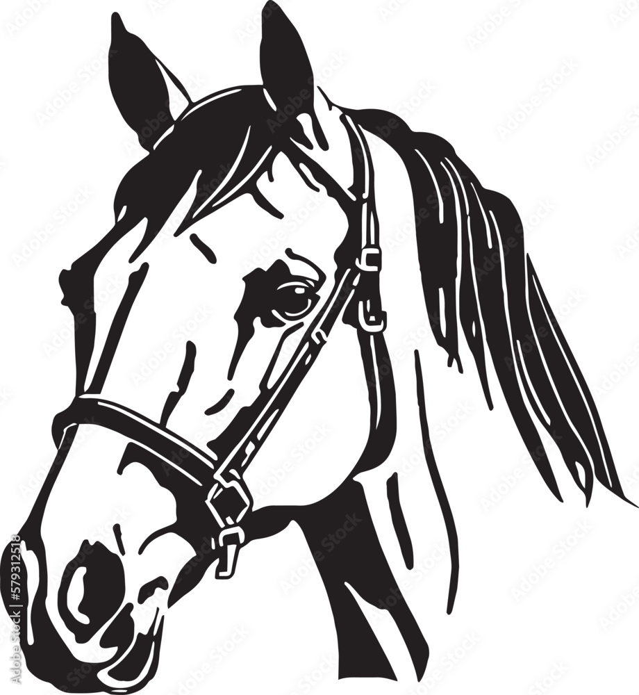 Horse head Vector illustration, on a white background, SVG Stock Vector ...