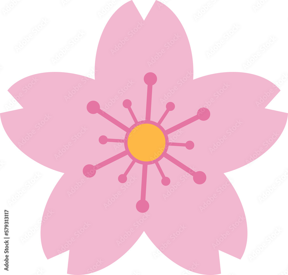 Beautiful pink Sakura Cherry Blossom illustration. Beautiful pink Sakura Cherry Blossom illustration.