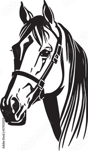 Horse head Vector illustration  on a white background  SVG
