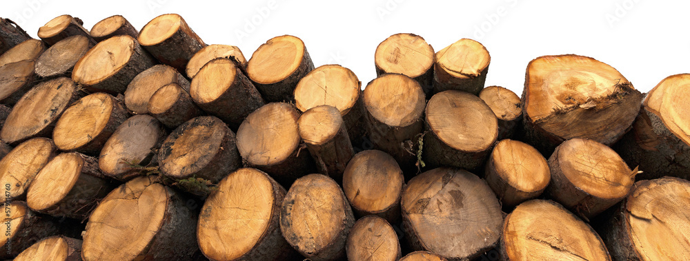 Close-up of a stack of pine tree trunks isolated on white or transparent background, photography, png. Close-up of a stack of pine tree trunks isolated on white or transparent background, photography, png.