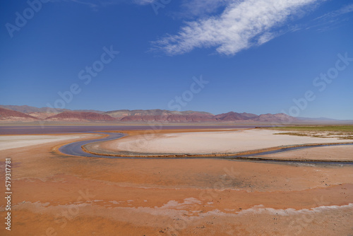 The Carachi Pampa lagoon, biosphere reserve, Argentina