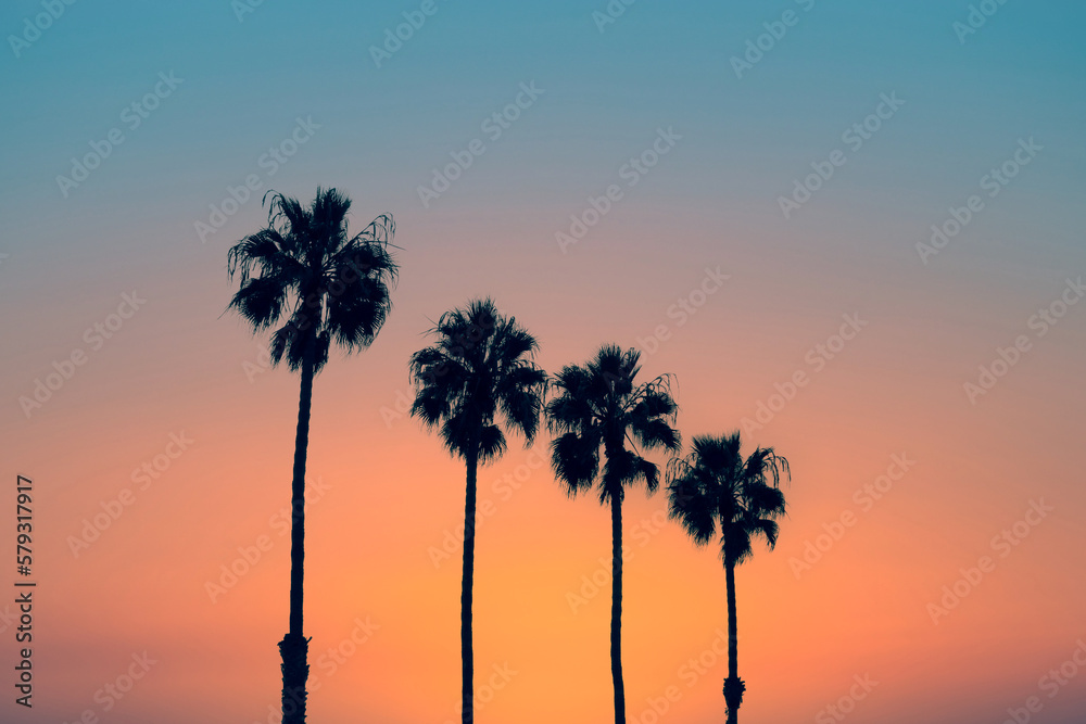 Palm trees at sunset, vintage California summer vibes - obrazy, fototapety, plakaty 