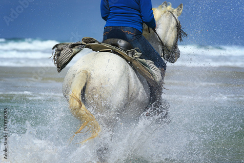 Weisses Pferd von hinten mit Blick auf das Meer photo