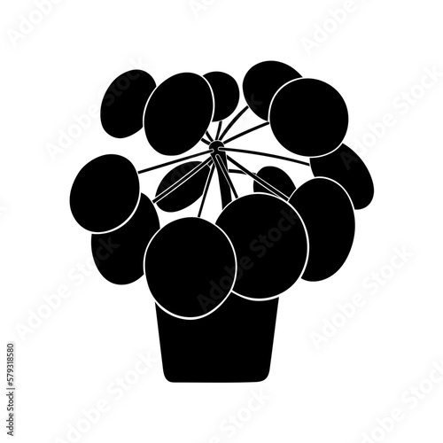 Pilea plante verte 6 pictogramme vecteur illustration 