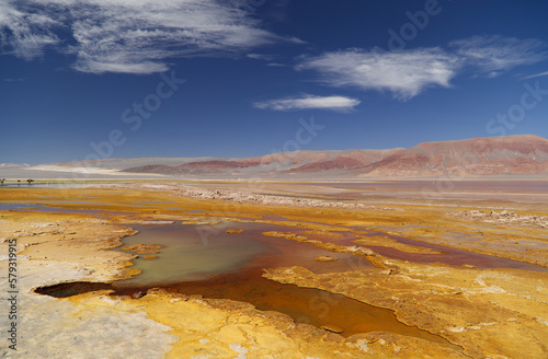 The Carachi Pampa lagoon, biosphere reserve, Argentina