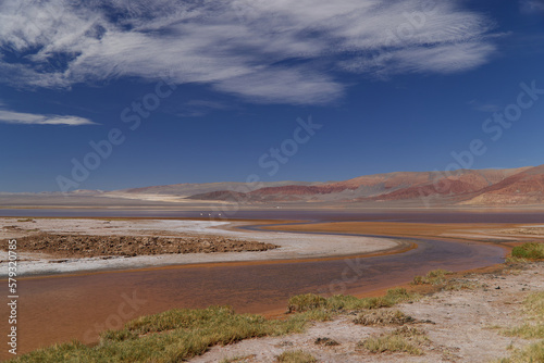 The Carachi Pampa lagoon, biosphere reserve, Argentina