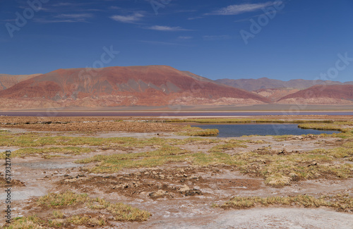 The Carachi Pampa lagoon, biosphere reserve, Argentina