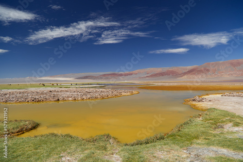 The Carachi Pampa lagoon, biosphere reserve, Argentina © Stefano
