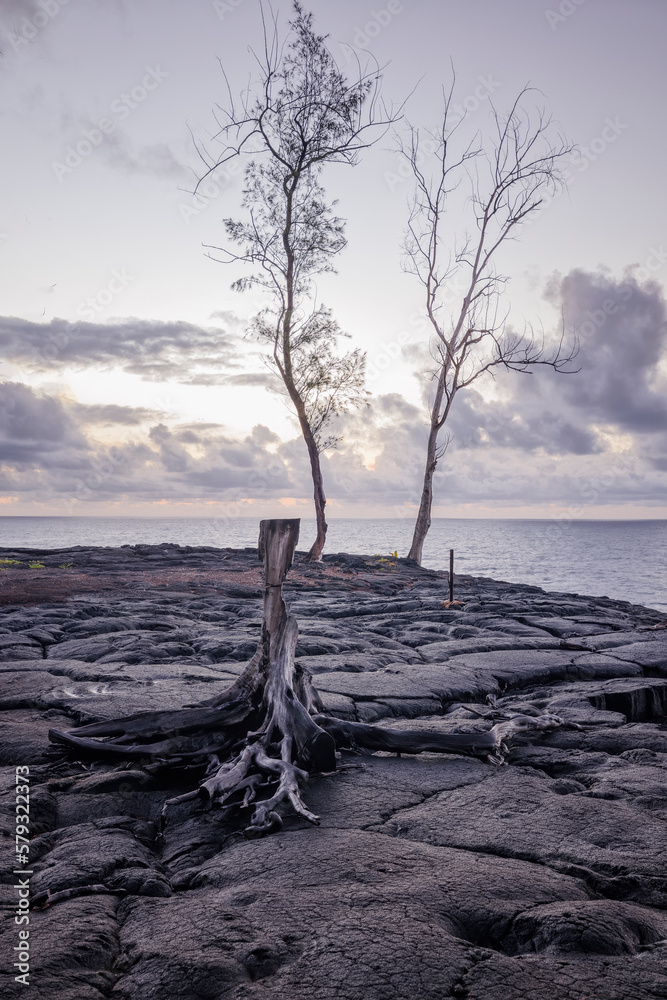 Costa volcánica de la isla grande de Hawaii