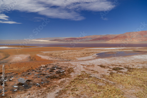 The Carachi Pampa lagoon, biosphere reserve, Argentina