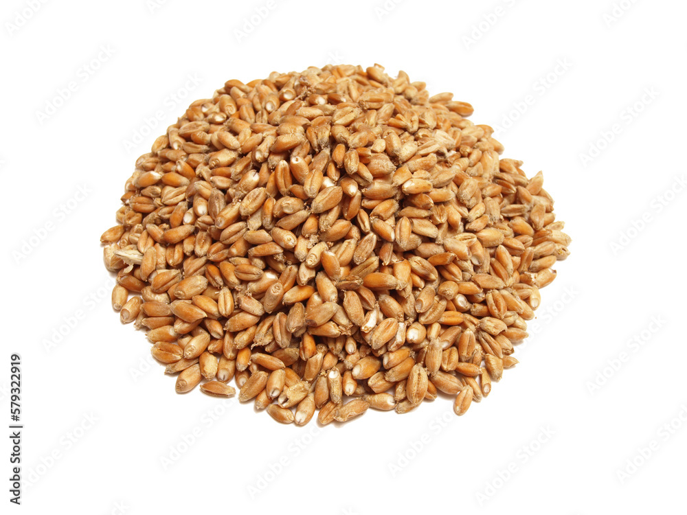 Grain isolated on white background Grain isolated on white background