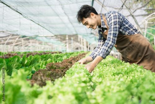 Asian farmer working in organic vegetables hydroponics farm. hydroponic salad vegetable garden owner taking customer order packing fresh vegetable.