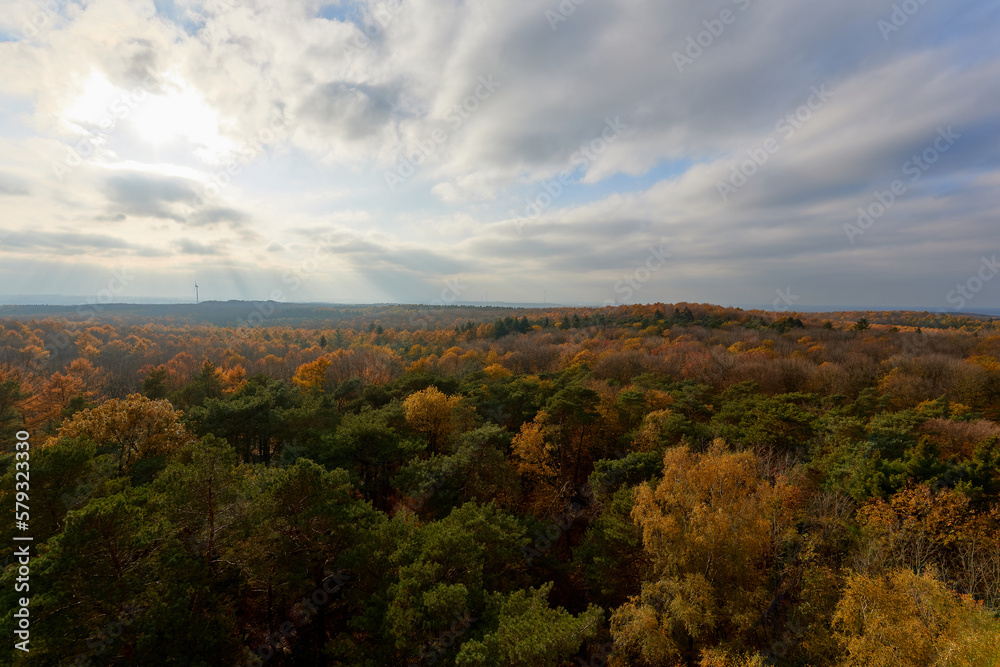 dramtic sky  with sun rays over autumn forest landscape