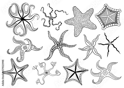 .A set of various starfishes. Black and white collection of different in form starfishes.Isolated design elements.Clipart.
