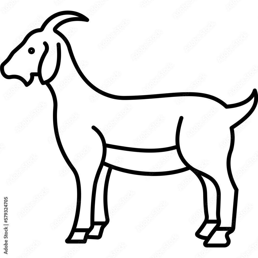 Goat

