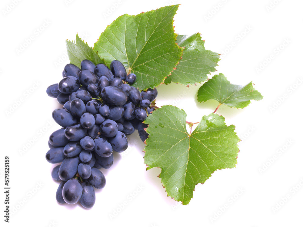 Fototapeta premium Grapes on a white background isolated