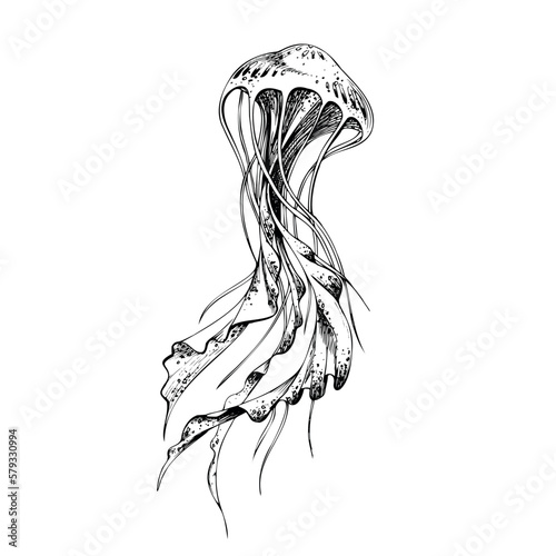 Sea jellyfish stylized. Isolated object drawn by hand in graphic technique. Vector illustration for summer, nautical and beach decoration and design.