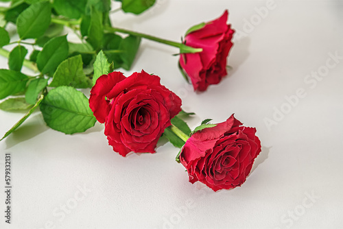 Fototapeta Naklejka Na Ścianę i Meble -  three burgundy roses on white table close up