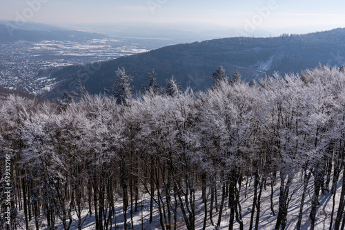Widok z góry na Beskid Śląski, śnieg na drzewach (1).