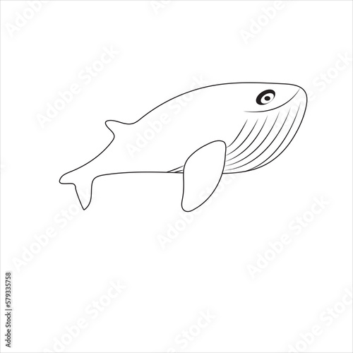 Set of marine mammals blue whales, sharks, sperm whales, dolphins, beluga whales, narwhal killer whales. Cartoon vector graphics.