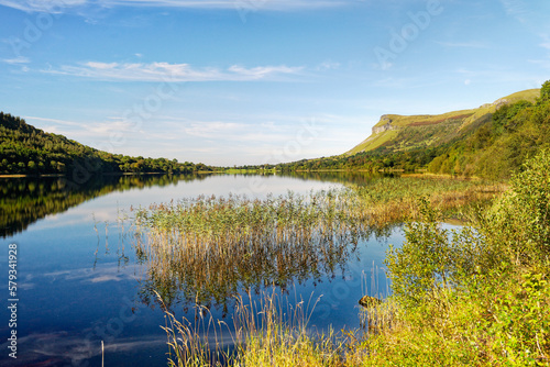 Glencar Lough lies southeast of Benbulbin mountain, County Sligo, Ireland. Looking west through reeds on the north shore. Late summer. Yeats Country