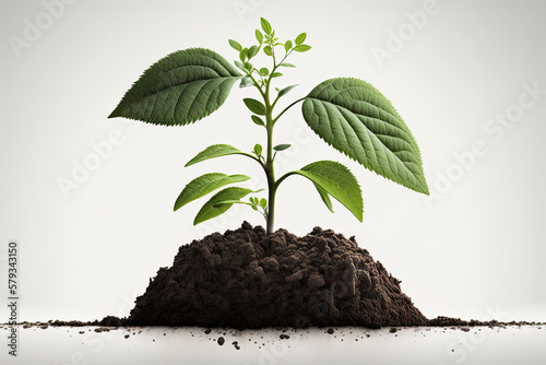 Earth's Day. View of a seed growing in the soil. Generative AI