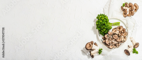 Wallpaper Mural Fresh oyster mushrooms on a ceramic plate with parsley. Healthy ingredient for cooking vegan food Torontodigital.ca
